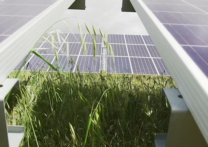 Foto Iberdrola se consolida como el mayor promotor de energía solar en el mercado británico.